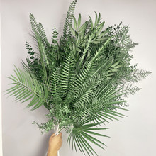 մɫ���ϻ����˲��Q �����cɭ�GɫϵС���¾Gֲ ��Y�õ�픻�ˇ