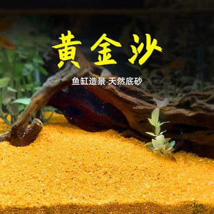 �S��ɳ�~�׵ײ�ɰʯ��ɳʯӢɰˮ��ɰ���yɳ�b��쾰ɳ�ײ�䁉|