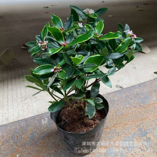 ��߅�������ԝ������ͺ��Ϙ��辰�����҃Ȼ��綬���_�����B���_��