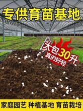 ߲ˠIBNˌBܾG}ͨͷNֲ