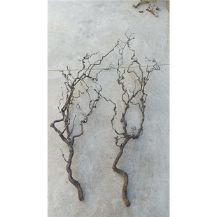 ������֦�廨��֦�P��֧�ֹ�diy������Ϙ�辁����L������֦�b�