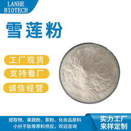 雪莲粉 雪莲果粉 雪莲喷干粉 阿贡粉 水溶性雪莲粉 喷干粉 现货供