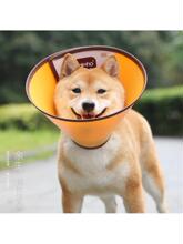 伊丽莎白圈大型犬金毛头罩狗狗头套宠物防咬舔耻辱圈猫咪项圈围脖