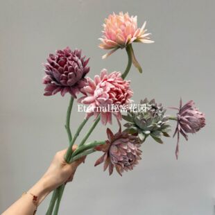 �����Pë�E�Ϸǵ�����ᘉ|�Ĕz���߼Ҿ�ֲ�q�ߙn���滨�b�����