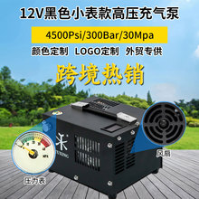 ���� 12V��ɫС������׃����300Bar��yʽ����