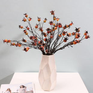 ����õ������� �Ҿ��b���@�L������� �Ƶ�ǰ̨�Ĕz���߹���