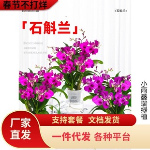 һ�����l��ˮʯ���m���Ԏ����������ͻ����҃�ˮ��ֲ���ļ��_����