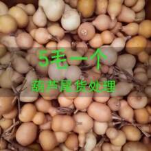 ̎����ȻС���J�ΑB�������Jβ؛̎����覴�С���J�����غ��J