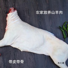 内蒙古清真产草地羊带皮 半只羊带皮 羊排羊腿 山羊肉顺丰包邮