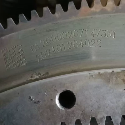 Flywheel Assembly Manufacturer Supplies Flywheel/Gear