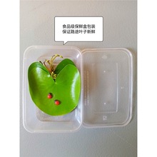 һ�~ɏ��ɏ�҃�ˮ��ֲ�ﻨ���~��ˮ���쾰���Bˮ��˯ɏ����ˮ�|