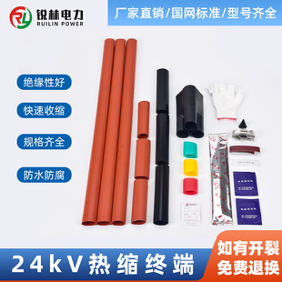 20ǧ��24KV��s��|������ȑ����s�K���^��s��|�^�ȉT�����z