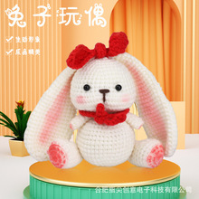 2023亚马逊钩针材料包手工DIY套装含说明书视频兔子玩偶批发钩织