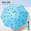 Professional umbrella solar-powered, gradient, sun protection