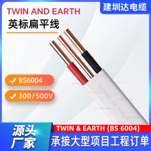 ����6242YӢ�˱�ƽ��|2.5ƽ��Twin & Earth BS 6004Ӣ��늾��|