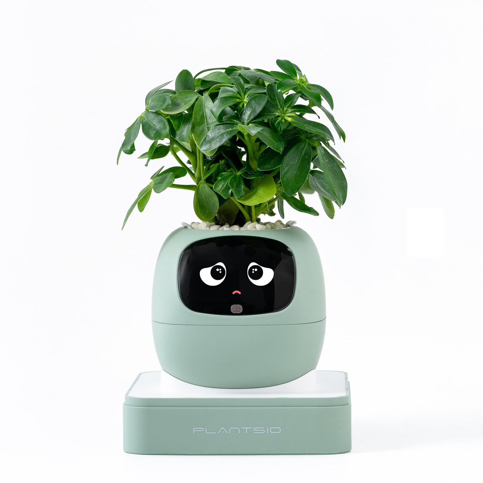 Intelligent automatic pet mood robot flower pot