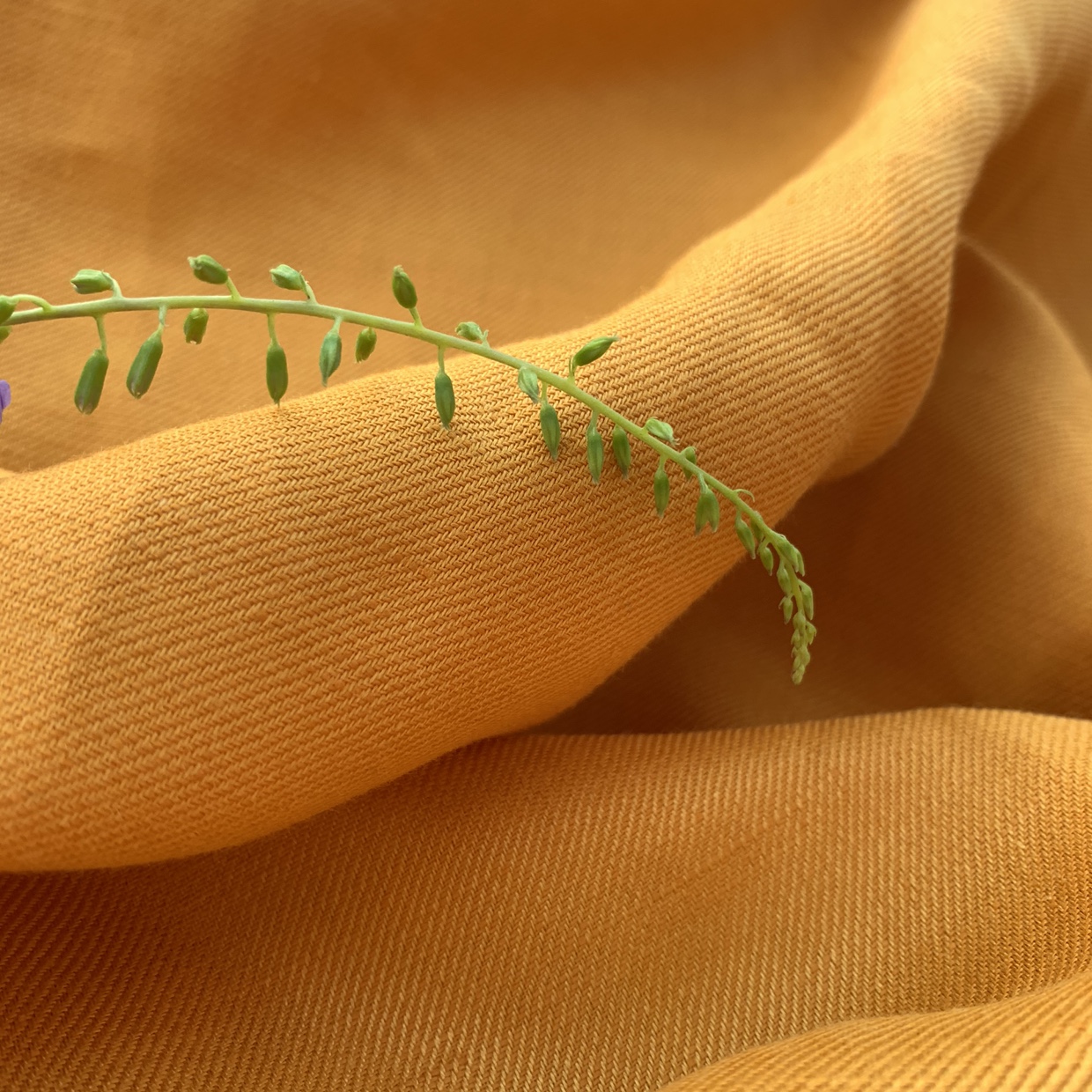 意大利重磅酵洗轻奢金稻黄纯汉麻斜纹布料早秋外套服装工作室面料