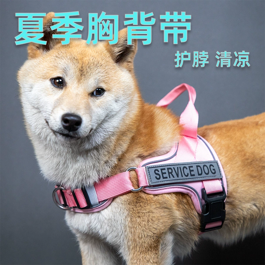 Прохладное лето для собак средних и маленьких собак выгуливают веревку для собак