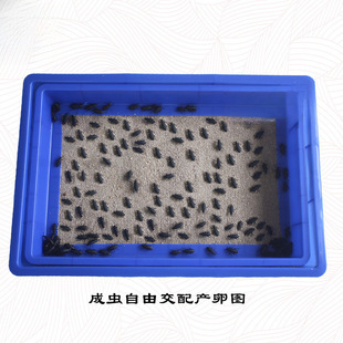 ���b����x�ѺY�W��ֳ�S���x�Bֳ���P䓴����x�x�Юa���O������x