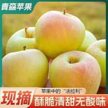 �S�ҹ���ɽ�|��������ɭˮ�����O�������ִஔ��ˮ�������������l