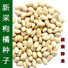 �²����ٷN�Ӽ޽Ӹ��� ��� ɰ������ľ�N������ך��N�Ӽt�ٷN��