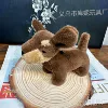Dachshund