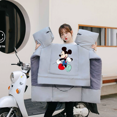 Winter Windproof and Cold-Proof Four-Season Universal: Motorcycle front windshield - gray-mickey-standard-style-velvet-lining
