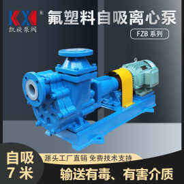 FZB氟塑料离心泵 浓硫酸自吸泵 盐酸输送泵 自吸力强 耐高温 防爆
