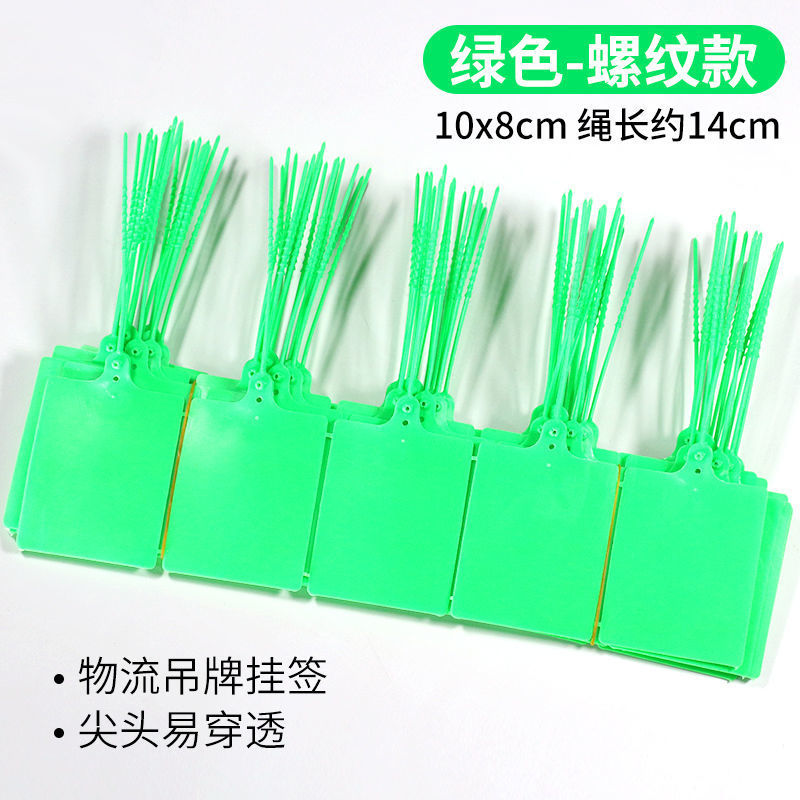 그린 1000정 [핫셀링]