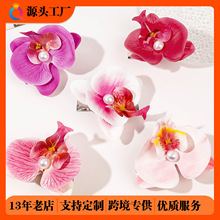 ��醿羳���Ļ���l�A���愢���A߅�A��������m����A�l�Ʒ���l