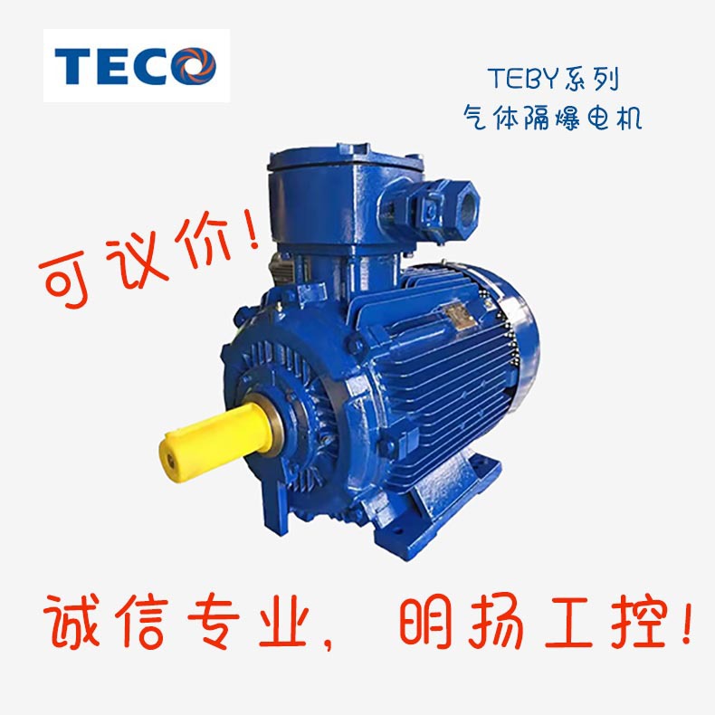 东元防爆电机 TEBY-355L2-2TEBY-355L2-2315KW 2P 355L 2975r/m