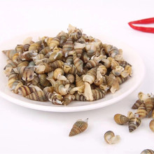 ����10����]��������������ʳ���ݽz ���F�oɳ ������֭ʳ��С