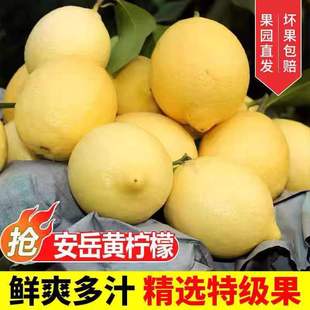 [Оптовая торговля] Anyue Huang Lemon Fresh Cuce Water and Foot в воде и ногах в воде, фунт с большим фруктом, 3-4 чистых весов 5 фунтов, бесплатная доставка