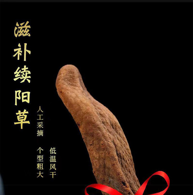 Xu Yang Cao Dried Herb 500g Yunnan Whole Herb for Culinary Herbal Use overview