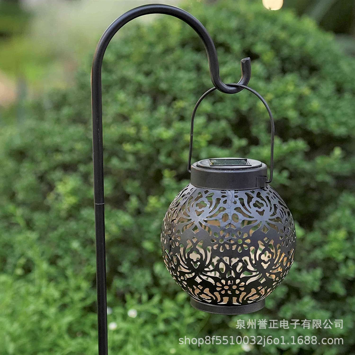 81RRMfa+ISL._AC_SL1500_