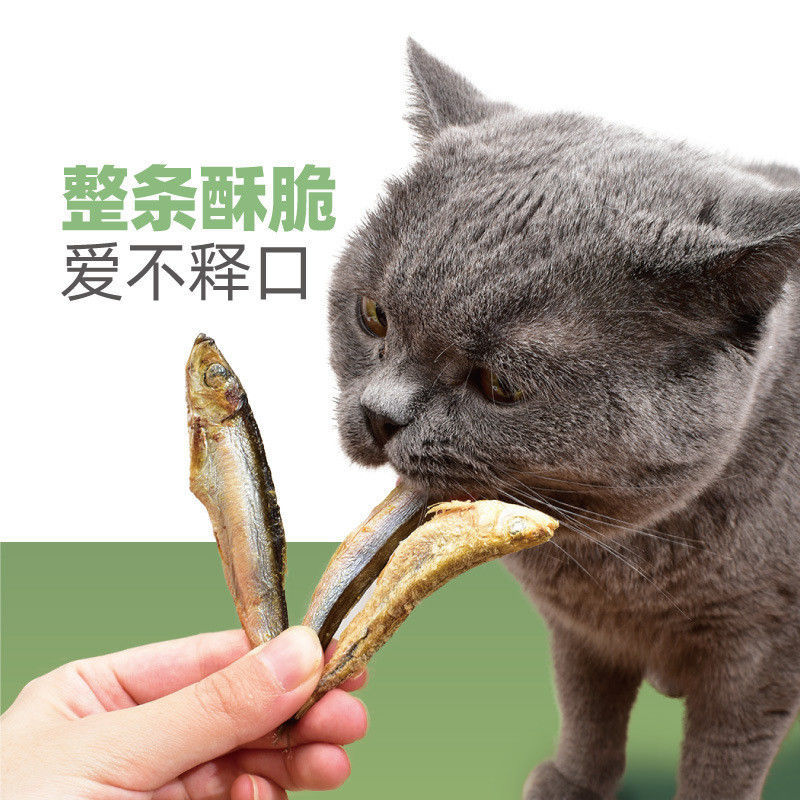 Aperitivos para gatos liofilizados Pescado seco lleno de semillas Aperitivos para gatos Pescado de primavera Aperitivos para gatos
