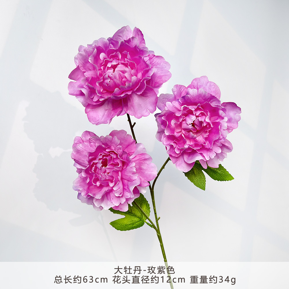 MJ-บิ๊กพีโอนี-โรสเพอร์เพิล