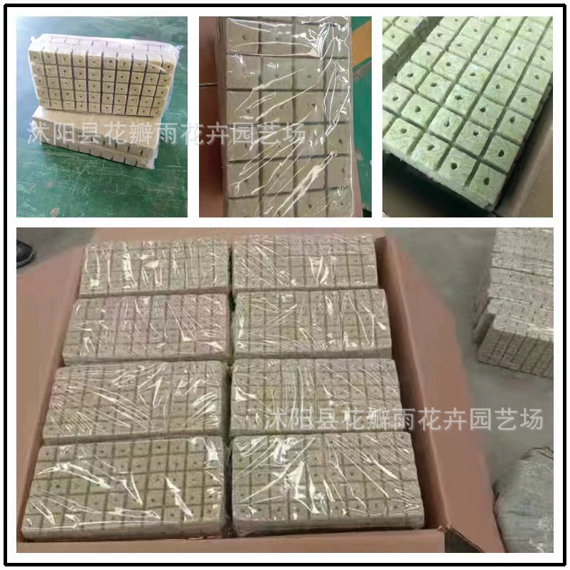 Импортный сельскохозяйственный беспочвенный субстрат для выращивания рассады, современные сельскохозяйственные Гидропонные посадки, каменная вата, дыня и фруктовые посадки