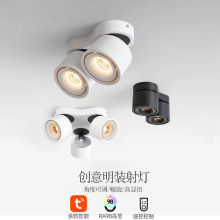 厂家明装射灯led客厅过道双头三头四头斗胆灯服装店调光吸顶筒灯