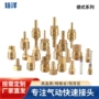 捷克德国快速各种接头