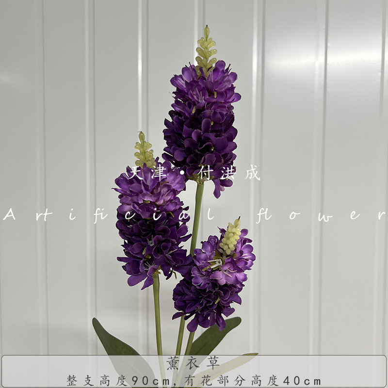 라벤더-다크 퍼플