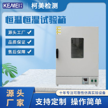 電熱鼓風干燥箱恆溫試驗箱恆溫試驗設備 不銹鋼內膽烘箱恆溫箱