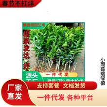 �o���ָ��� 091�o�� �ָ̘��� ����^�ľ�޽����������Ե��Ը���