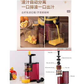 【BH598】 原汁机，不能炸甘蔗 不用加水的榨汁机