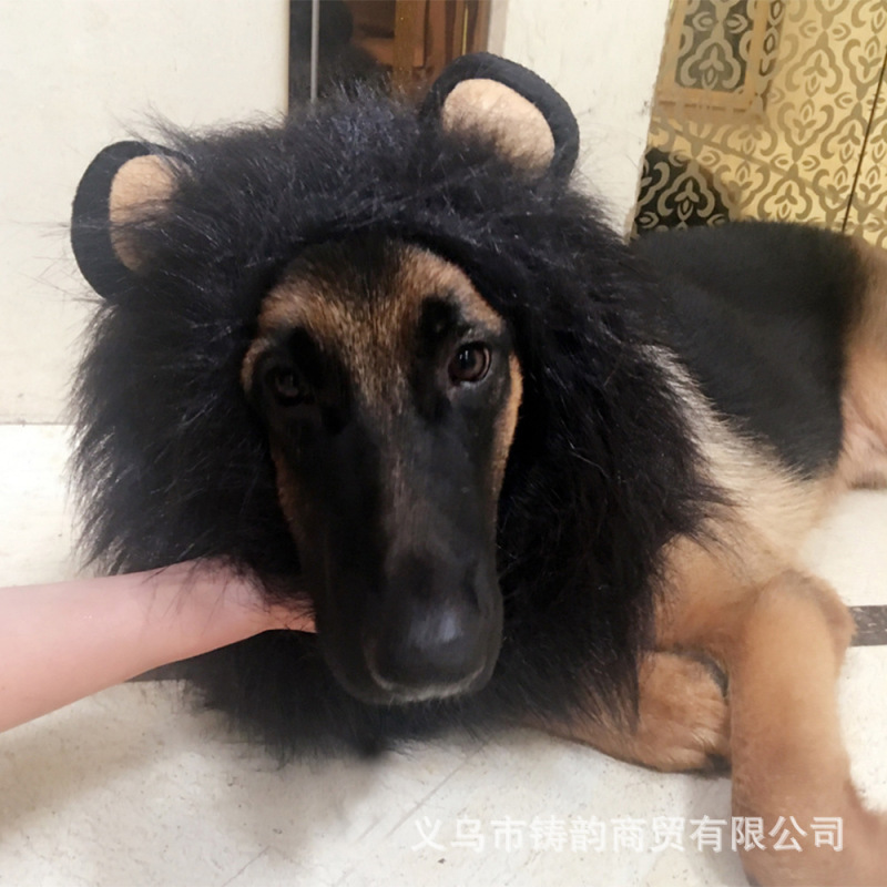 万圣节宠物狮子头套宠物变身搞怪狗狗假发宠物狮子围脖宠物服装|undefined