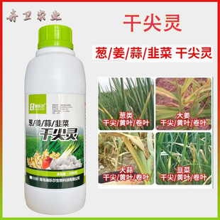 �[������ɼ��`����Ԫ��ˮ�ܷʷ���