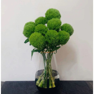 ��������Gë��Gʯ��ˮ�B���廨���L�����o��С���°��]�Gë��