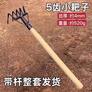 Five-Tooth Steel Rake, Beach Rake, All-Steel Sea Rake, Clam Digging Rake, Peanut Picking Rake
