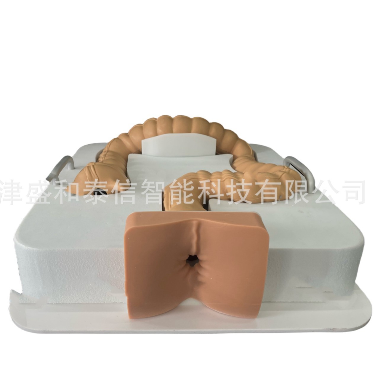 北京天津3D打印手板模型直肠模型仿真血管仿真皮肤仿真肠道系统