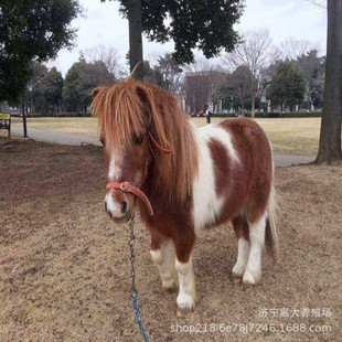 С���R���R���RС�R�x���w���_�R���㌙���R�O���m���R�������